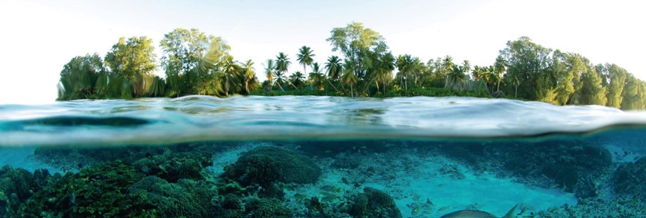 Natuurpracht op de Seychellen