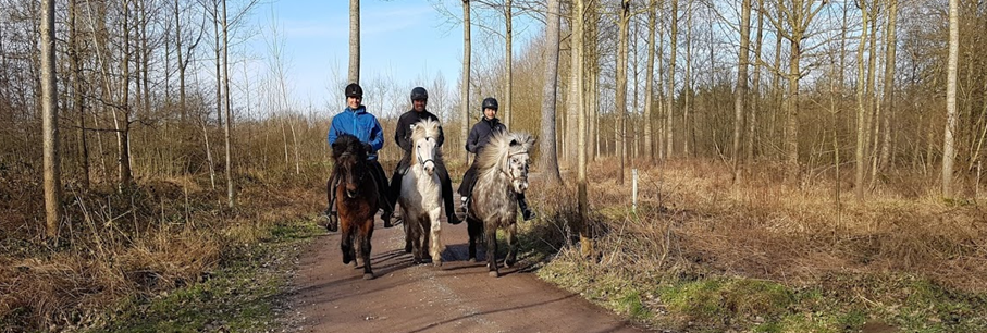 Trektocht in Diest